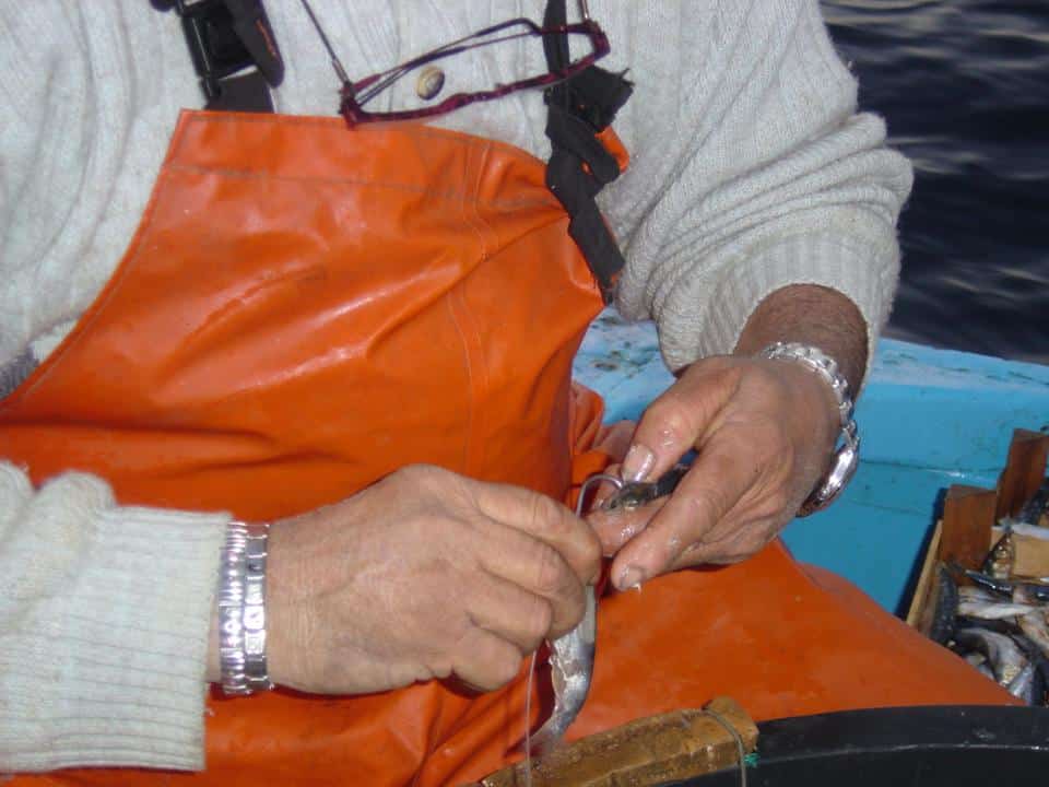 Innesco del palangaro con sardina — esca per la pesca professionale al tonno e al pesce spada