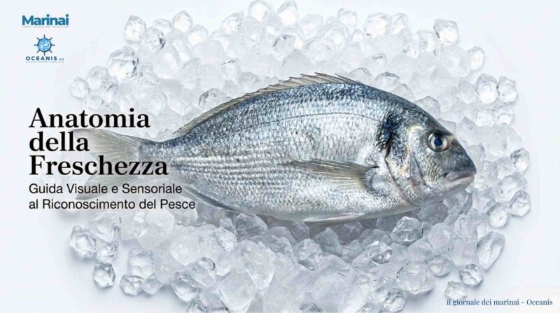 Come riconoscere il pesce fresco?