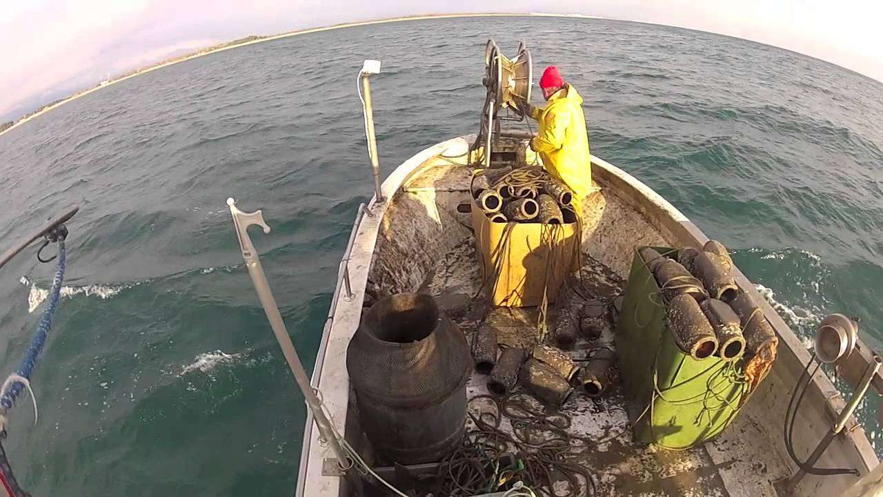 SELE Polpara Bianca 150 Gr - SALARIO PESCA S.r.l. Negozio Pesca - 3