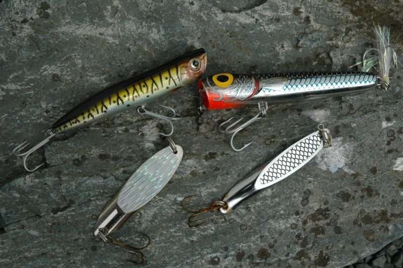 Pesca a spinning in mare (da dove cominciare)