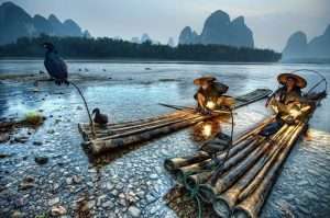 La pesca con i cormorani