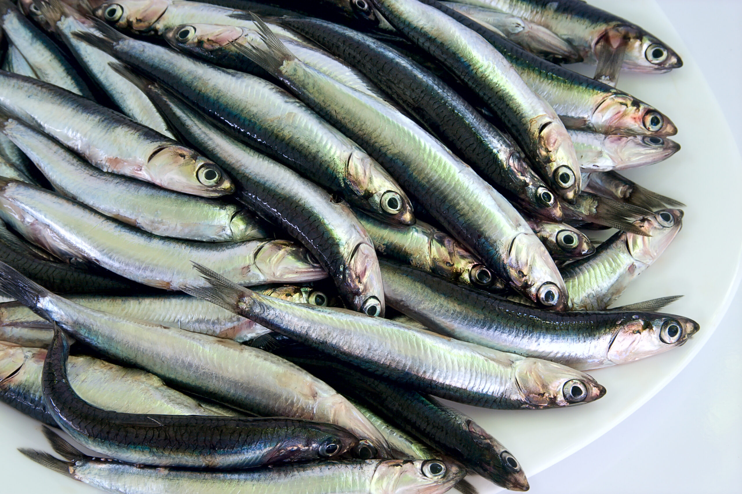 Riconoscere il pesce
