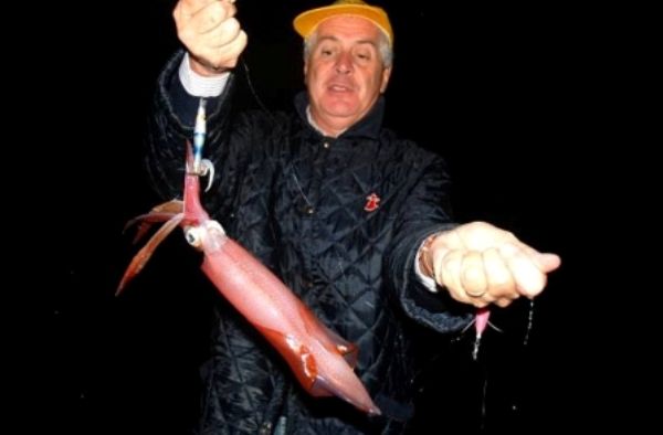 Calamari pescati