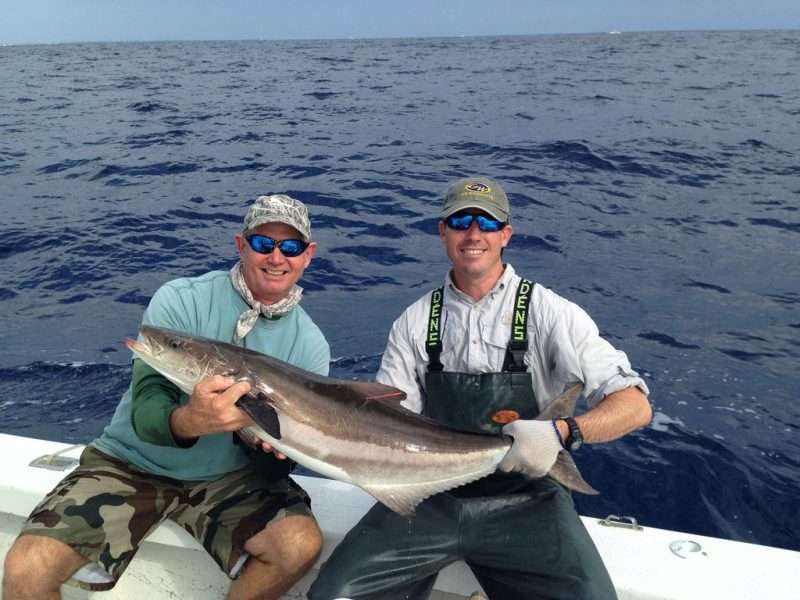 Come pescare il pesce cobia