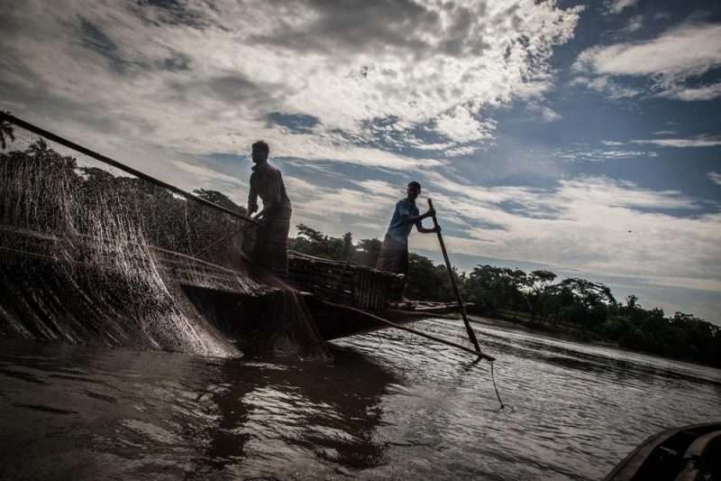 La pesca con le lontre