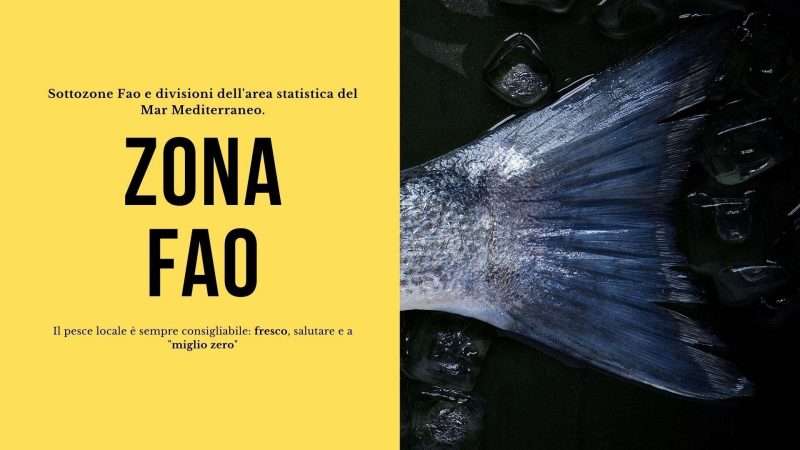 Pesce: parola d’ordine ZONA FAO 37.1