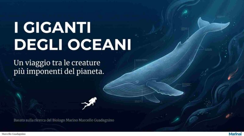 I giganti degli oceani: viaggio tra i segreti della megafauna marina