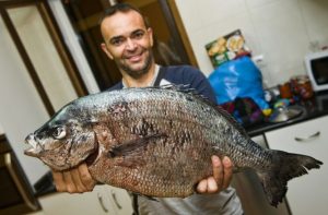 Sarago da record pescato in apnea