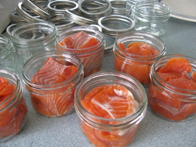 salmone e corretta conservazione del pesce