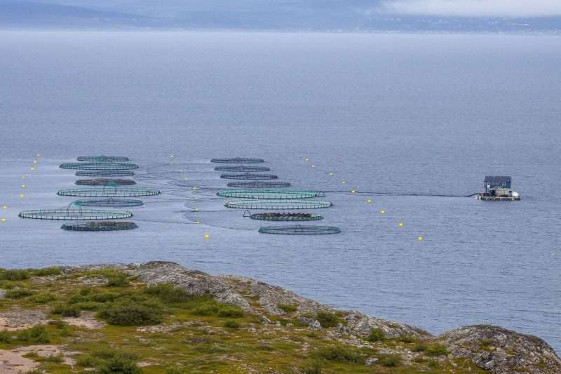 Ci si puo’ fidare del pesce d’allevamento ?