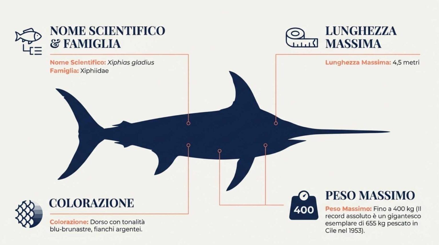 Peste Spada Pesce spada (Xiphias gladius): habitat, profondità e stato IUCN