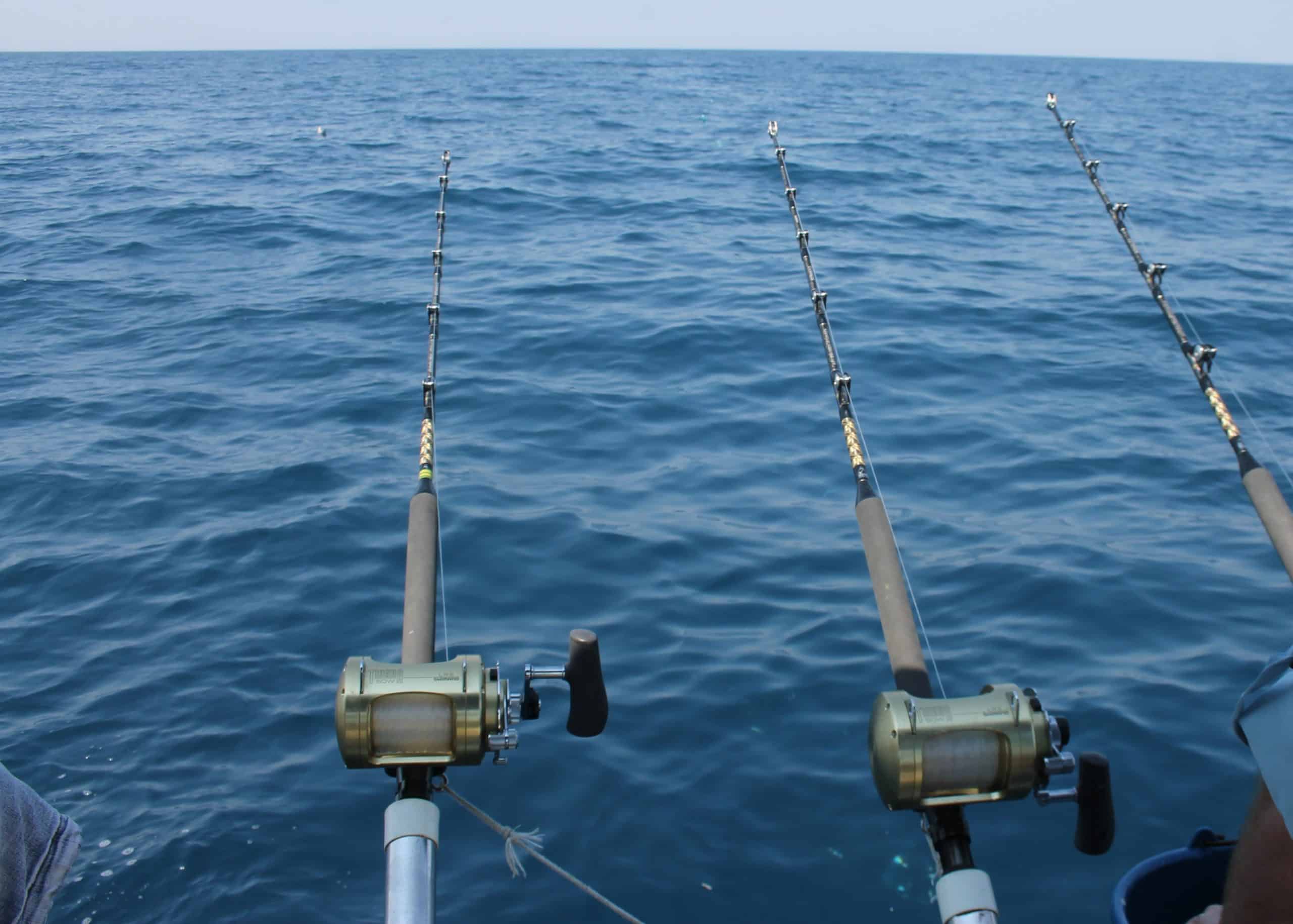 Canna da pesca disposta in acqua durante il drifting al tonno