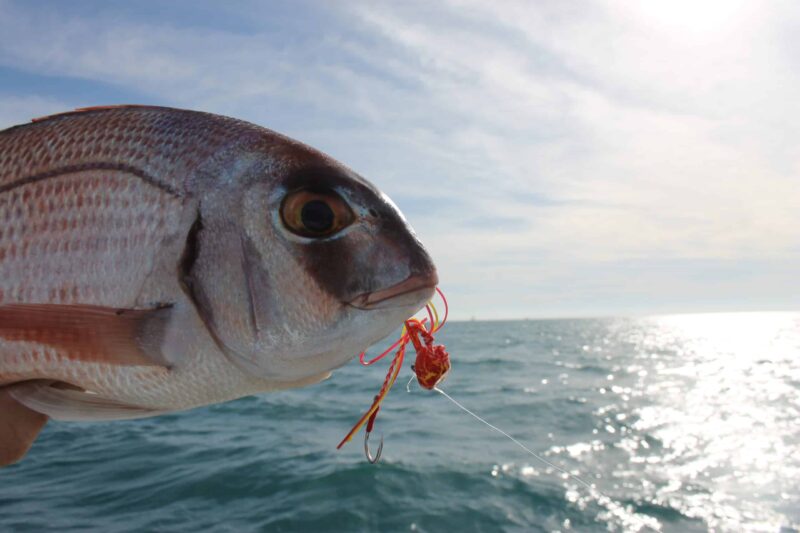 La pesca al tenya