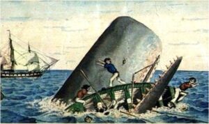 La vera storia del naufragio della baleniera Essex, affondata da una balena