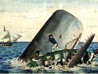 La vera storia del naufragio della baleniera Essex, affondata da una balena