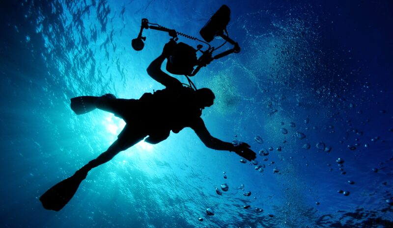 Fotografia subacquea : i flash disturbano i pesci ?