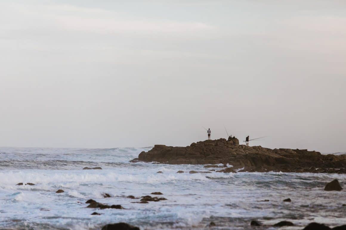 Cosa pescare in mare a Marzo