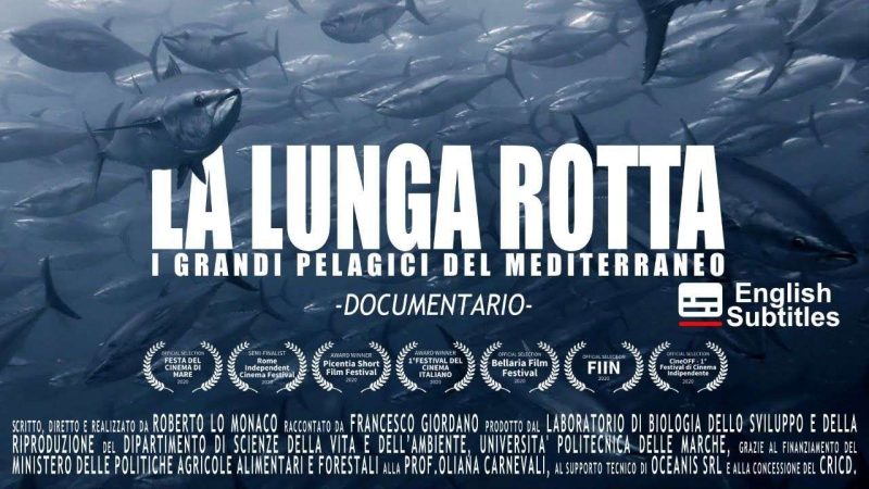 Docu-film LA LUNGA ROTTA