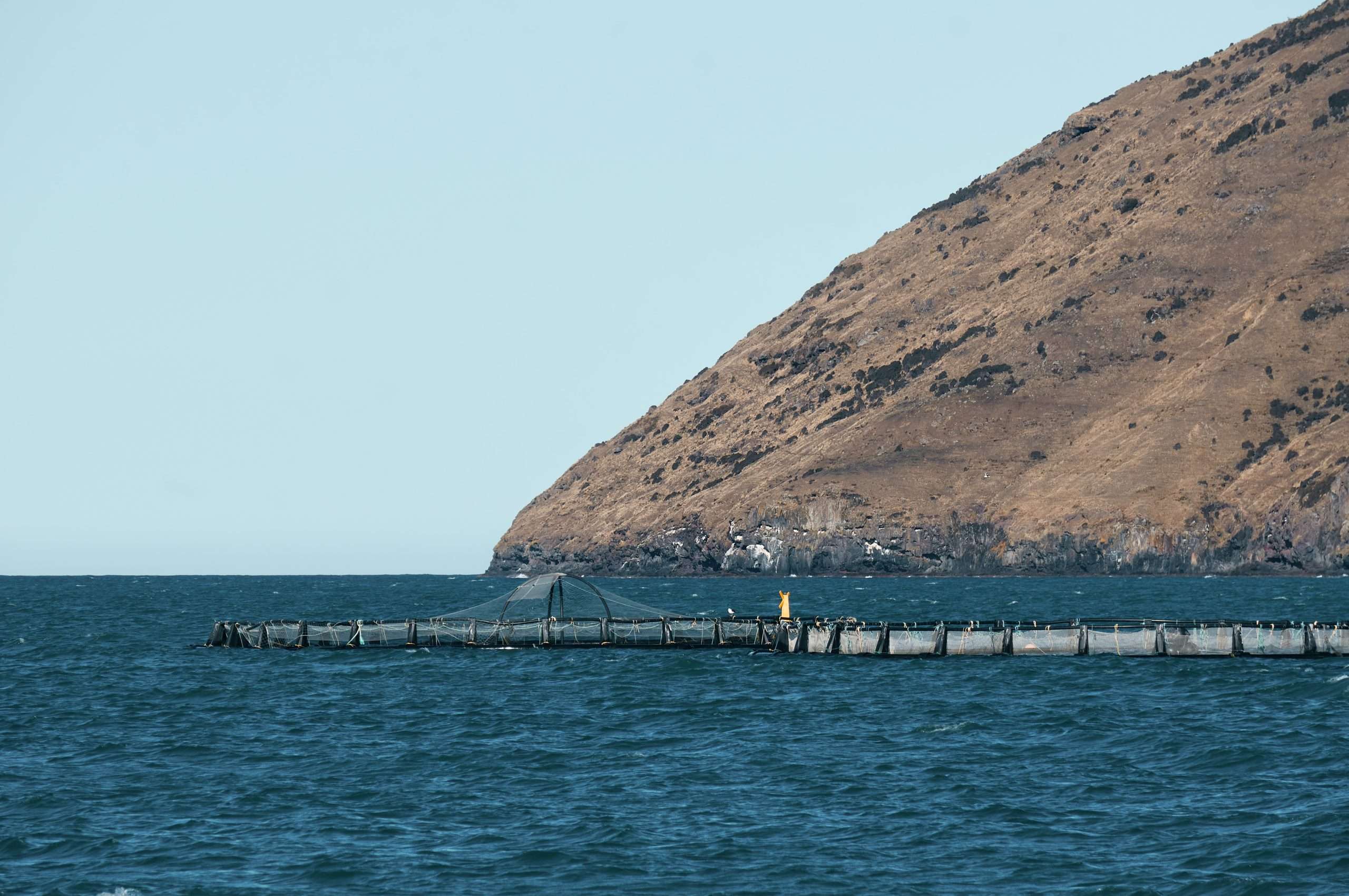 Impianto di acquacoltura in mare