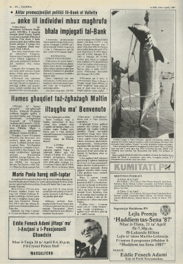 Articolo di giornale maltese sulla cattura dello squalo bianco 1987