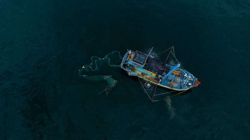 Sviluppo di attività relative alla pesca e all’acquacultura