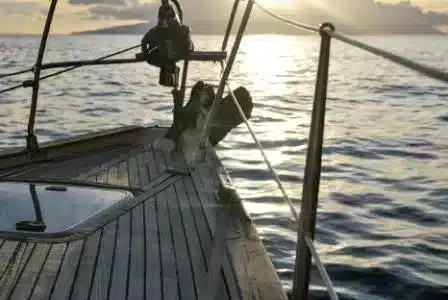 Vela - nautica Regate, barche a vela, tecniche e scuole