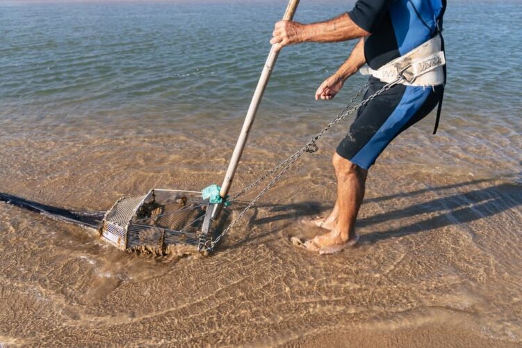 La Pesca delle Telline: Regole, Leggi e Metodi