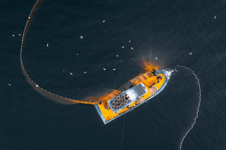 Chi guadagna davvero dalla pesca industriale?