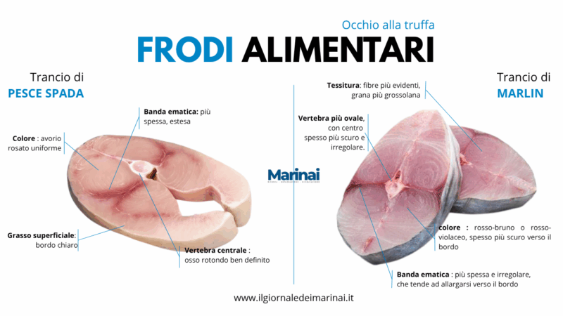 Pesce spada o marlin? Le frodi nel piatto e la verità dietro un nome prestigioso