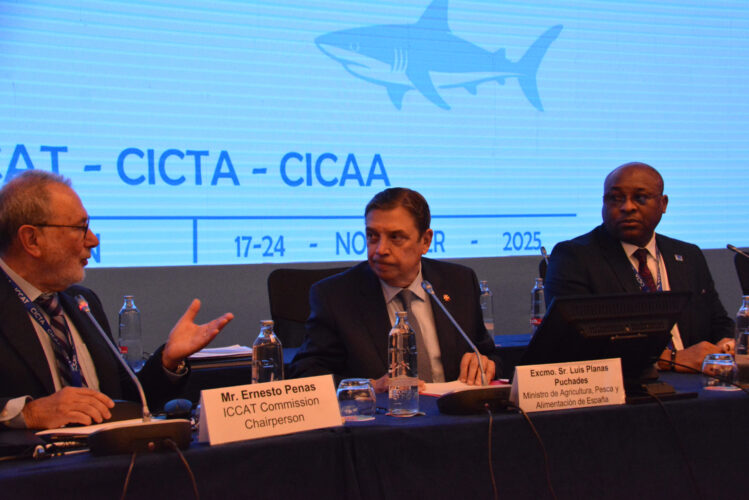 ICCAT approva nuovi TAC 2026-2028: più quote per il tonno rosso e misure rafforzate per gli squali dell’Atlantico