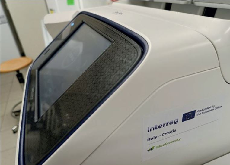 analisi edna specie invasive laboratorio disteba bluediversity