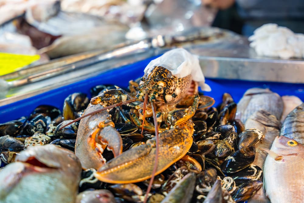 Origine del pesce e zone FAO