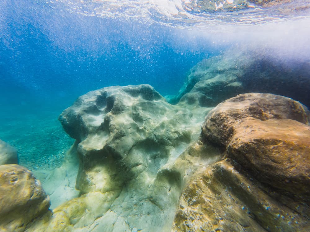 Fondale roccioso del Mediterraneo