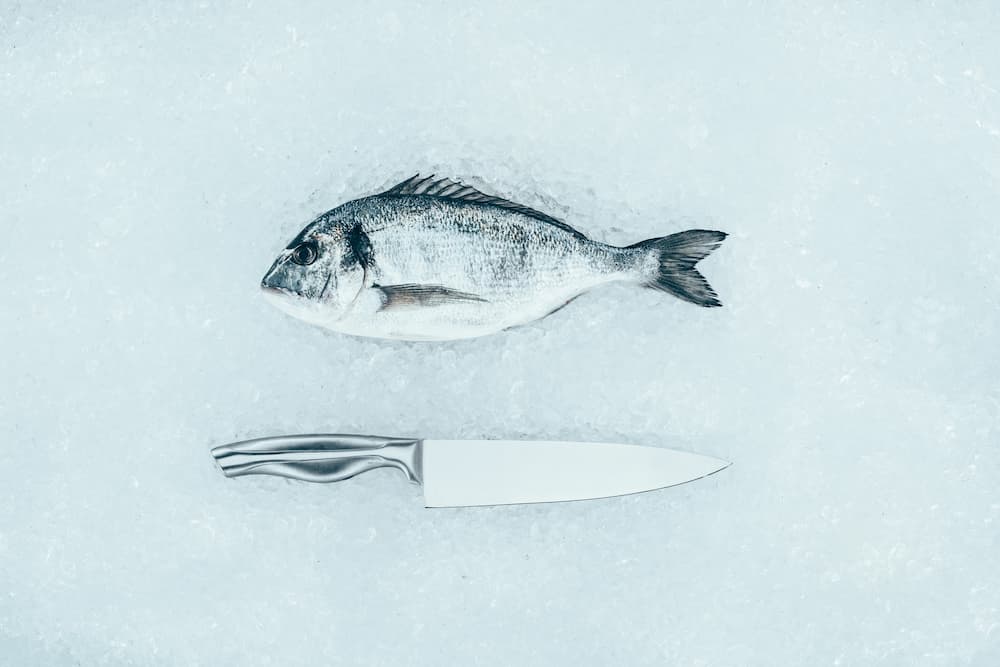 Orata fresca su banco per scegliere il pesce