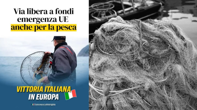 Pesca: l’Europa attiva il meccanismo di crisi. Sostegno reale o risposta temporanea?