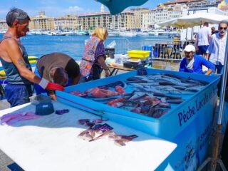 Il mare non basta più: crisi redditi pescatori artigianali 2020-2025