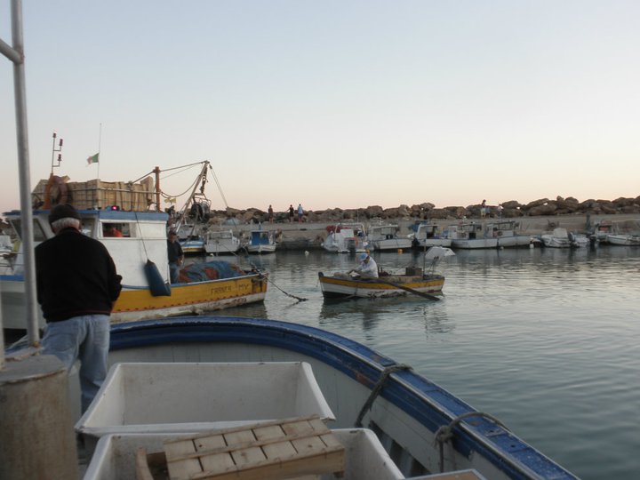 Pescatori che selezionano il pescato a bordo dopo una nottata di lampara