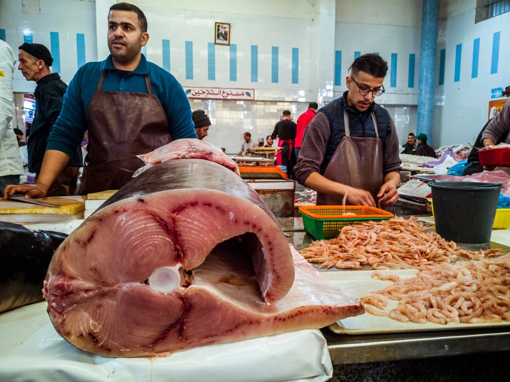 Trancio di pesce spada fresco — riconoscimento e prezzi al mercato