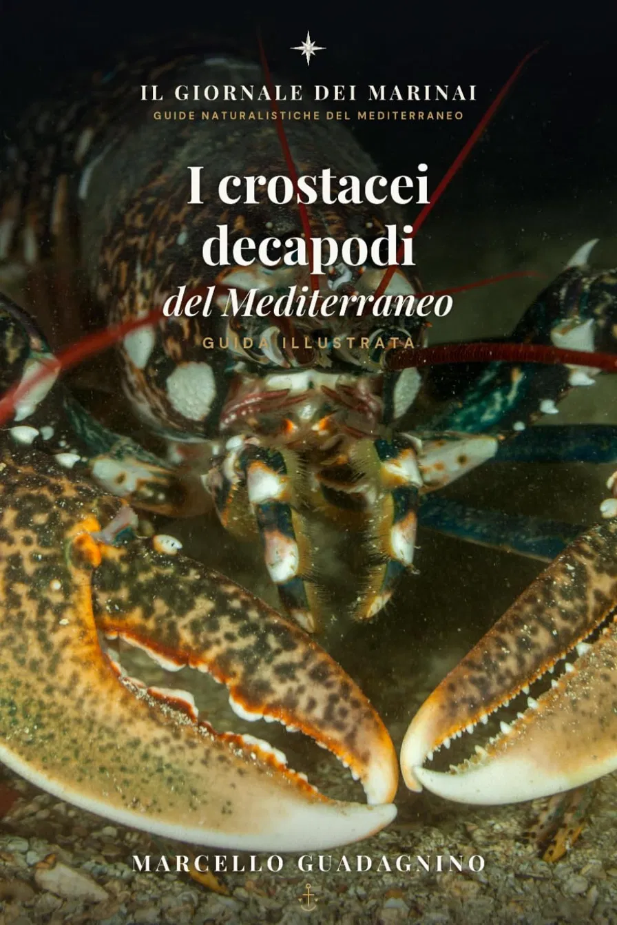Copertina di I Crostacei Decapodi del Mediterraneo