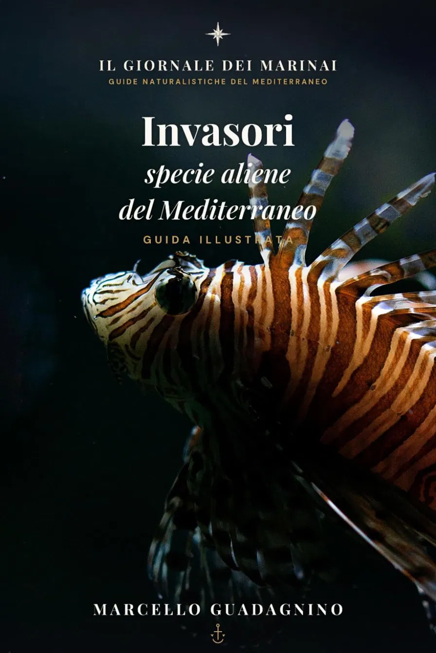 Copertina di Invasori — Specie Aliene del Mediterraneo