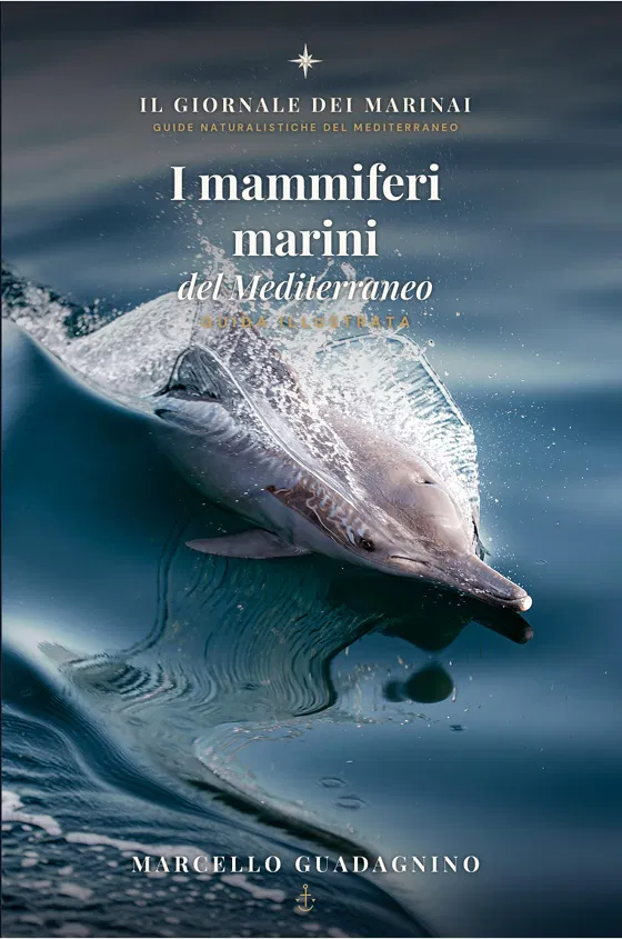 Copertina di I Mammiferi Marini del Mediterraneo