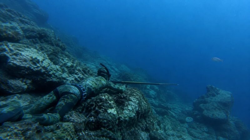 Come pescare il dentice in apnea: