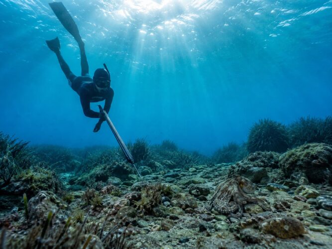 Come pescare il polpo in apnea