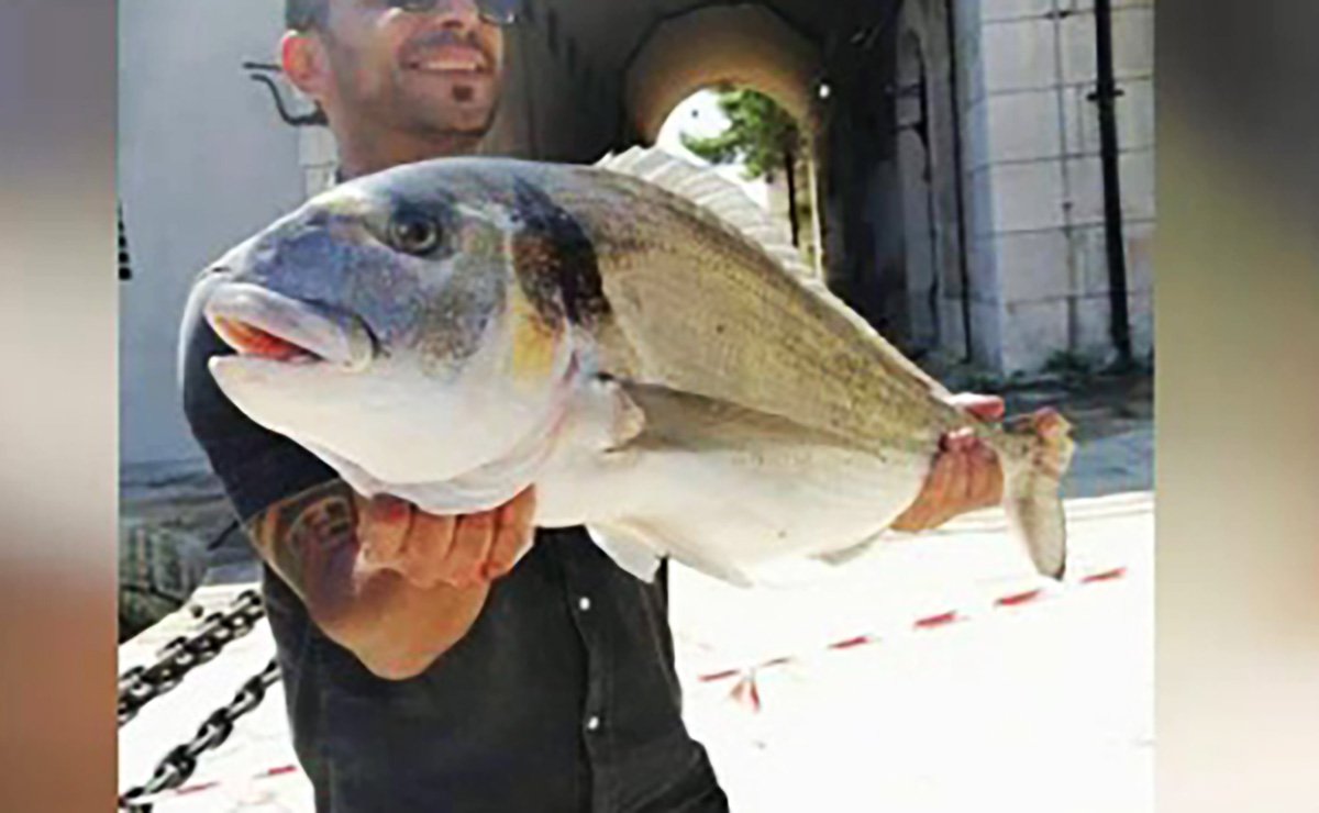 Orata da 11 kg pescata nel canale navigabile di Taranto