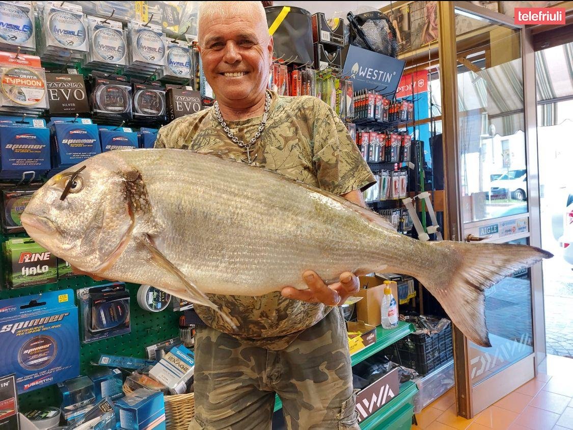 Orata di oltre 5 kg pescata nella laguna di Marano da Giuseppe Barchiesi