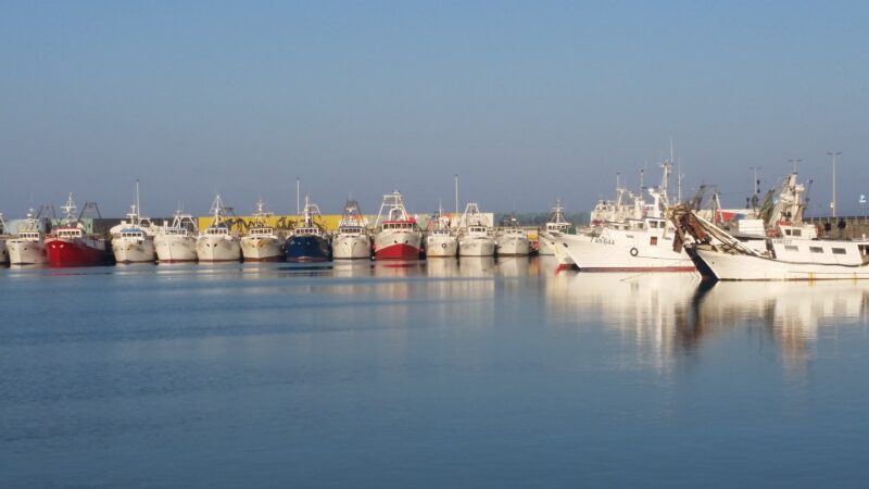 Pescherecci fermi in Adriatico per il caro gasolio: cosa chiedono i pescatori e cosa ha deciso il governo