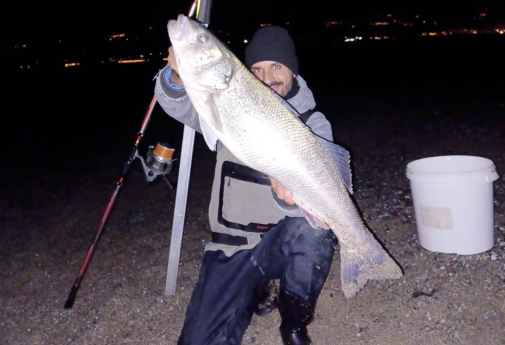 Spigola da 8 kg pescata alla foce del fiume Amato a Lamezia Terme