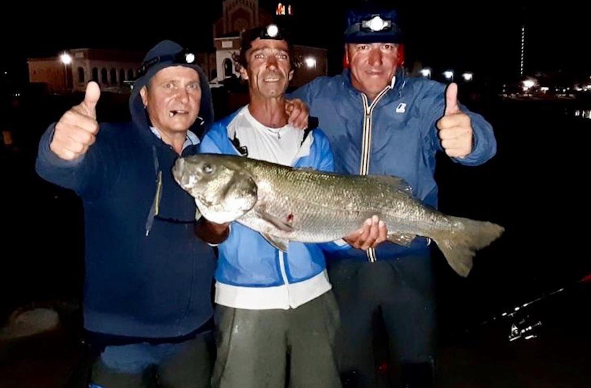 Spigola da 9,8 kg pescata a Nettuno