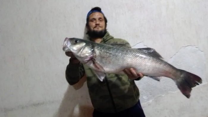 Stefano Zaina con la spigola da 9 kg pescata a Sapri