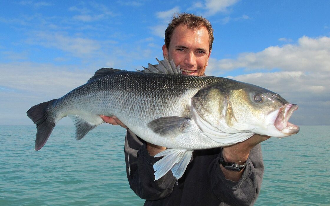 La spigola e l’orata più grandi mai pescate: i record mondiali